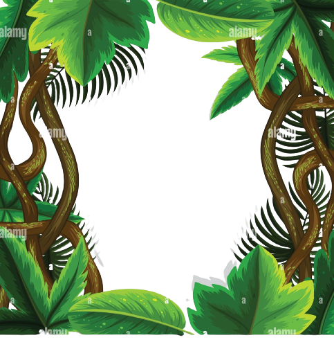 jungle leaves frame concept illustration PY407T removebg preview